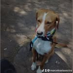 Marcelo Arias Eztrada - @marcel.arias.estrada - Instagram