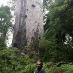 Marcel Arsenault - @marcel.arsenault.92 - Instagram