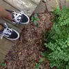 marcelaustin - @marcelaustin03 - TikTok