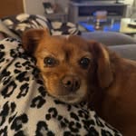 Marcel Bailey - @mbails1972 - Instagram