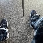 Marcellus Barnett - @barnettmarcellus14 - Instagram