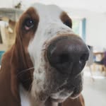 @marcelbassetbg - Instagram