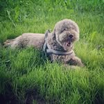 Marcel Baur - @kurzverbloggt - Instagram