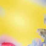 baxter - @marcelbaxter2023 - Instagram