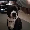marcelbeaulieu330 - @marcelbeaulieu330 - TikTok