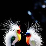Marcel Benjamin - Facebook