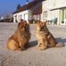 Marcel Berger - Facebook