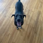 Marcy Ann - @marcellusbernstein - Instagram