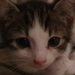 Marcel Besters - @marcel_besters - Instagram