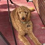 Thaddeus Marcel Binion - @thaddeus_binion - Instagram