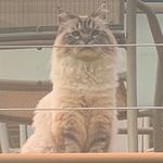 @bolduc_marcel_ - Instagram