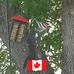 Marcel Bolduc - Facebook