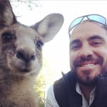 Marcel Bondesan - @marcel_bondesan - Instagram