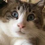 @marcelbond007 - Instagram