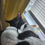 Marceline Brennan - Facebook