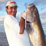 Marcel Britto - @marcel_britto - Instagram