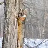 Marcel Carrier - @marcel.carrier6 - TikTok