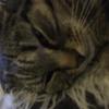 marcelocarroll5471 - @marcelocarroll547 - TikTok