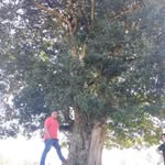Marcel Castañeda - @marcelquiroz37 - Instagram