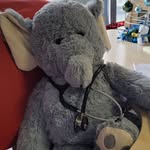 Marcel Cerdan l'éléphant aide-soignant - @marcel_aide_soignant - Instagram