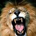 Marcel Chappuis - Facebook