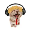 Marcel_chaser - @marsel_chaser - TikTok