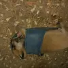 MarcelleChrétien - @qcorkizxidr - TikTok