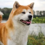 Titi Chretien - @marcelchretien - Instagram