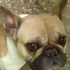 conradmarcel7 - @conradmarcel7 - TikTok
