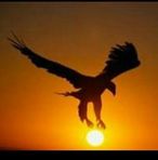 Marcelo Crosby - Facebook
