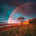 Marcel Daigneault - @marceldaigneault - Instagram