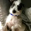 Eddy - @marcelday7 - TikTok