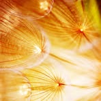 Marcel Devine - Facebook