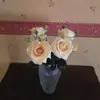 DIdier Marcel - @didier.marcel - TikTok