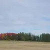 marceldrouin8 - @marceldrouin8 - TikTok