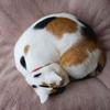 marcel_dunlap_ - @marcel_dunlap_09 - TikTok