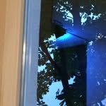 @marcella.eaton - Instagram