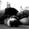 Marcel Fehrmann - @marcelfehrmann - TikTok