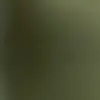 Marcel Freeman - @marcel.freeman - TikTok