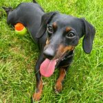 Marci - @girodimarcello - Instagram