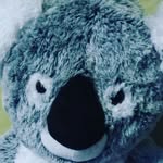 marcel - @marcelgomez1368 - Instagram