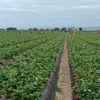 Marcel - @marcel.gonzalez53 - TikTok