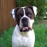 Marcel gratton - @gratton_marcel - Instagram