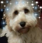 Marcel Griffin - Facebook