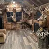 mihalemarcel - @mihalemarcel - TikTok
