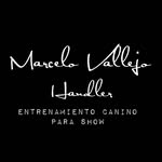Marcelo Vallejo - @handler.marcelo - Instagram