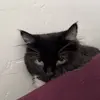 Marcella - @marcellaahansen_ - TikTok