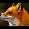 Marcel Hartz - @marcel.hartz - TikTok