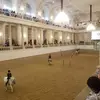 marcelhart0 - @marcelhart0 - TikTok