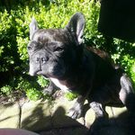 marcel-heins - @marcelheins8000 - Instagram